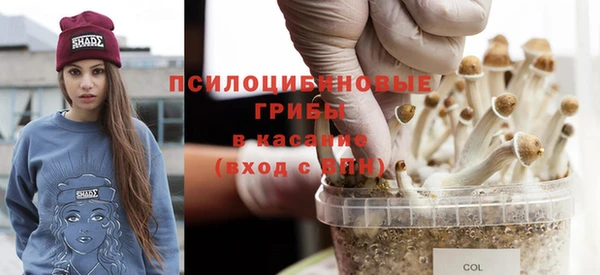 2c-b Липки