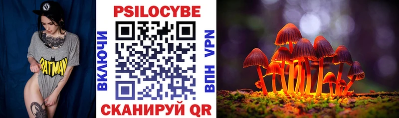 Купить закладки Керчь Галлюциногенные грибы GOLDEN TEACHER